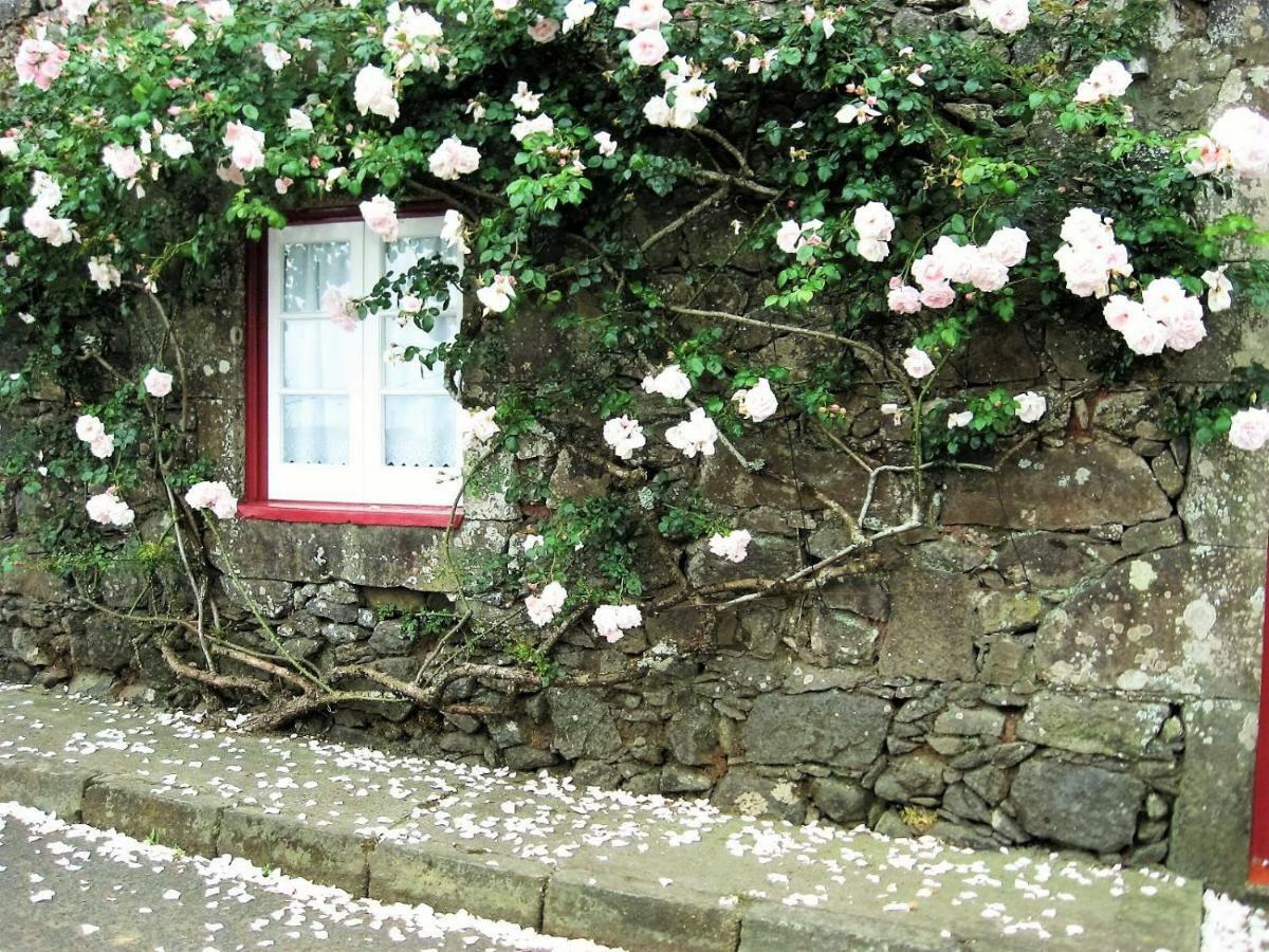 诺德什蒂Casa Da Roseira别墅 外观 照片